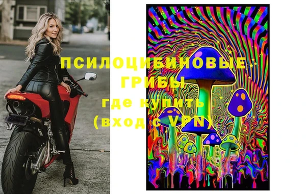 круглые Алексеевка