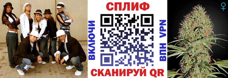 Канабис план  Ессентукская 